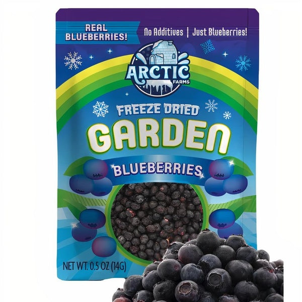 12-PACK OF Blueberries Freeze Dried (100% Fruit), Arctic Farms
