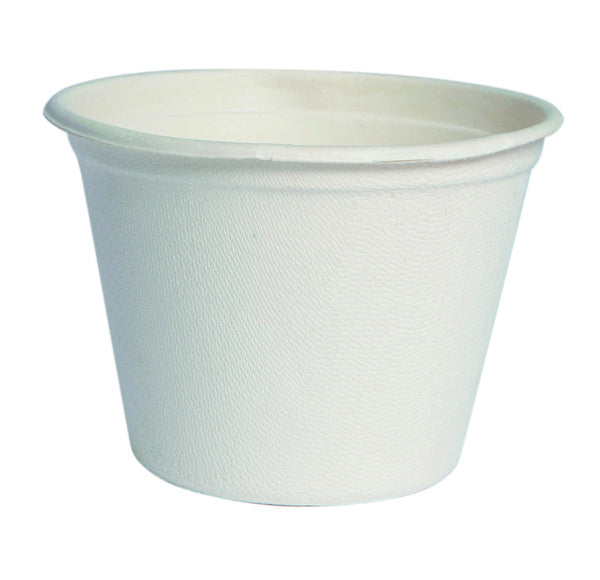 20-PACK OF CUP PORTION MINI 4.7OZ SUGCANE