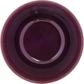 48-PACK OF BOWL PLAS INSUL TURNBRY CRNBRY