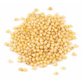1-PACK OF GRAIN SPCLTY MILLET SEED