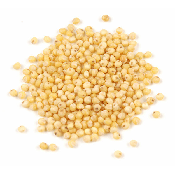 1-PACK OF GRAIN SPCLTY MILLET SEED