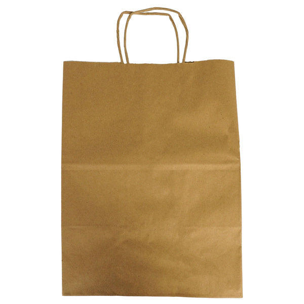 1-PACK OF BAG PAPER BRN W/HNDL REGAL65LB