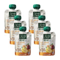 6-PACK OF Applesauce Mango Organic North Coast 4 ct