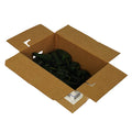5 LB-PACK OF PEPPER POBLANO