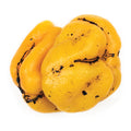 6-PACK OF PEPPER ROASTED YEL