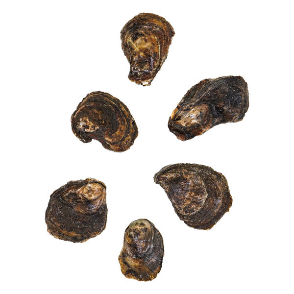 100CT-PACK OF OYSTER INSHELL CONNETICUT