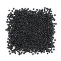 10-PACK OF BEAN DRIED LENTILS BELUGA