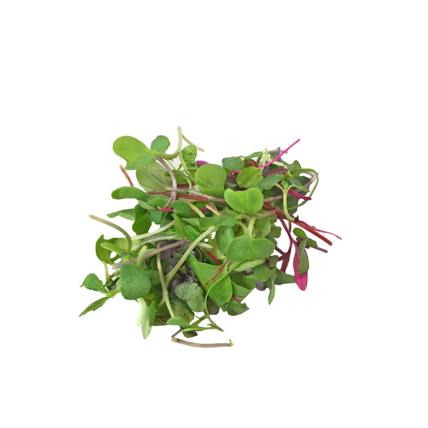 4 OZ-PACK OF GREEN MICRO INTENSITY MIX