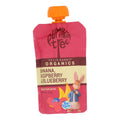 10-PACK OF SNACK FRUIT BANANA, RASPBERRY & BLUEBERRY