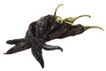 1-PACK OF CHILE DRY NEGRO PASILLA