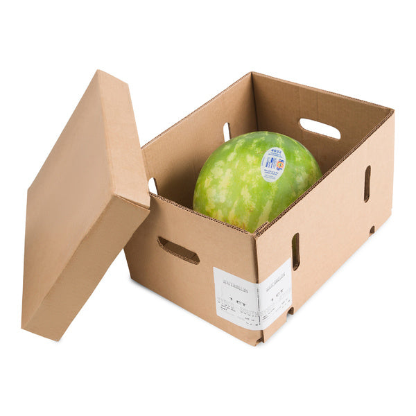 1 CT-PACK OF MELON WATERMELON SDLS FRESH