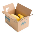 5 LB-PACK OF SQUASH YELLOW MED FRSH