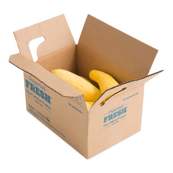5 LB-PACK OF SQUASH YELLOW MED FRSH