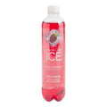 12- PACK OF WATER SPRING BLK RASP