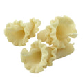2-PACK OF Pasta Trumpets Durum Semolina Organic Bulk, Sfoglini Pasta