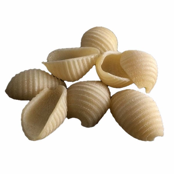 2-PACK OF Pasta Shells Small Durum Semolina Organic Bulk, Sfoglini Pasta