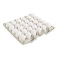 1-PACK OF EGG SHELL XLRG GRD AA USDA WHT