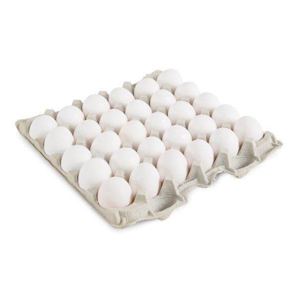 1-PACK OF EGG SHELL XLRG GRD AA USDA WHT