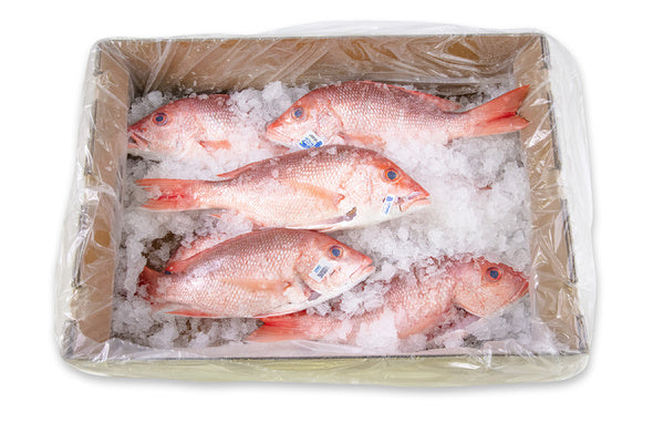 10 LB-PACK OF SNAPPER WHL 1.60-1.90 GW