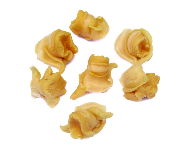 13.4OZ-PACK OF CONCH ANTARTIC 100% CLEAN