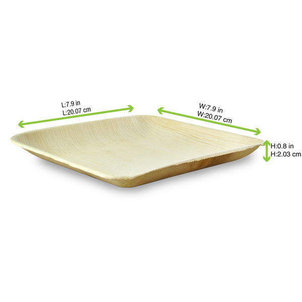 1-PACK OF PLATE DISPOS PALM LF SQR 8X8