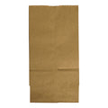 1-PACK OF BAG PAPER BRN 4LB