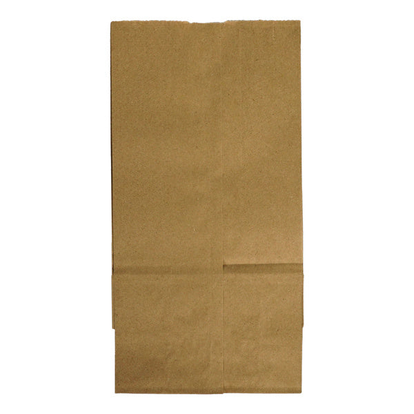1-PACK OF BAG PAPER BRN 4LB