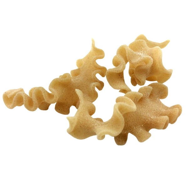 2-PACK OF Pasta Reginetti Whole Grain Organic Bulk, Sfoglini Pasta