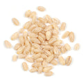 1-PACK OF GRAIN SPCLTY BARLEY PEARLED