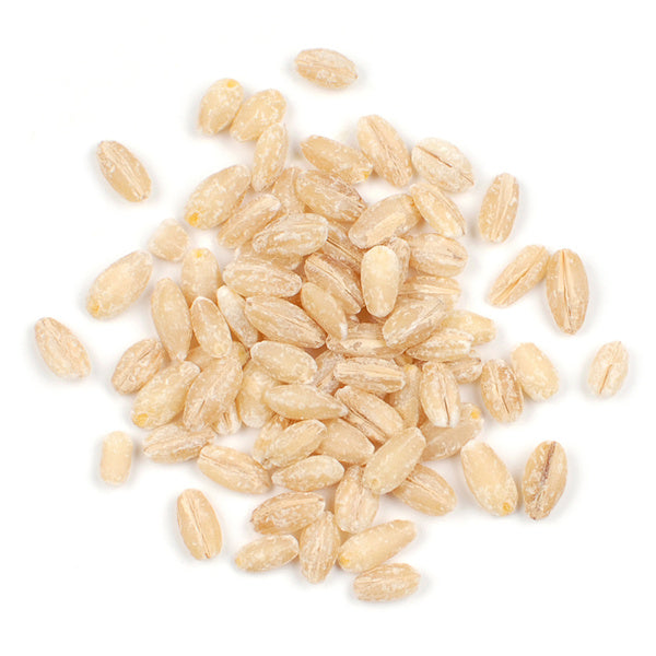 1-PACK OF GRAIN SPCLTY BARLEY PEARLED