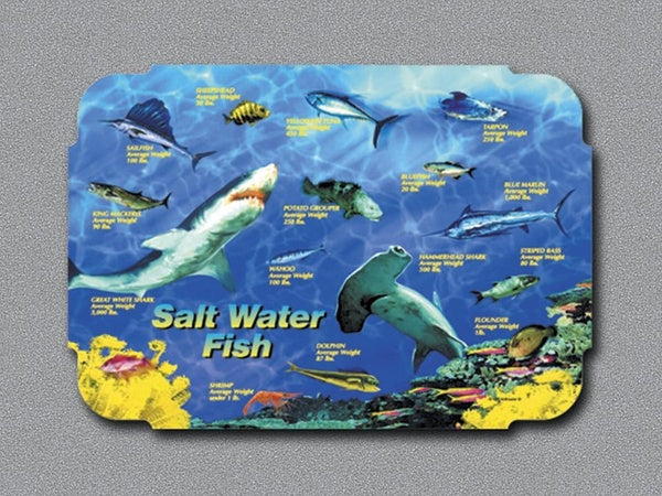 1000-PACK OF PLACEMAT PAPER SALT WTR FISH