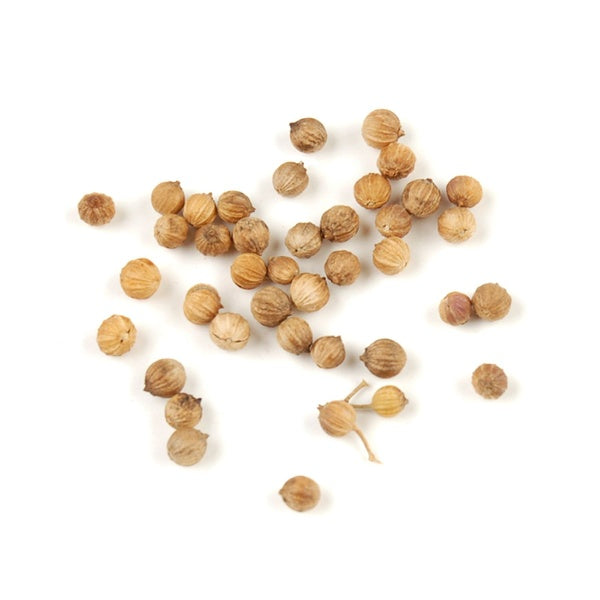 1-PACK OF ORGANIC FRESH CORIANDER SEED