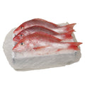 10 LB-PACK OF SNAPPER WHL 2.30/2.50