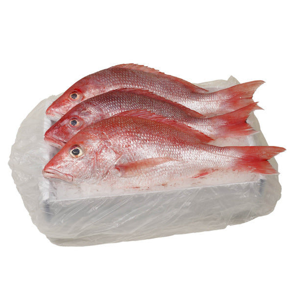 10 LB-PACK OF SNAPPER WHL 2.30/2.50