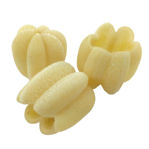 2-PACK OF Pasta Zucca Durum Semolina Organic Bulk, Sfoglini Pasta