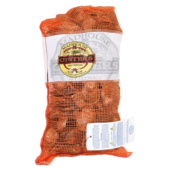 100 CT-PACK OF OYSTER LIVE MADHOUSE