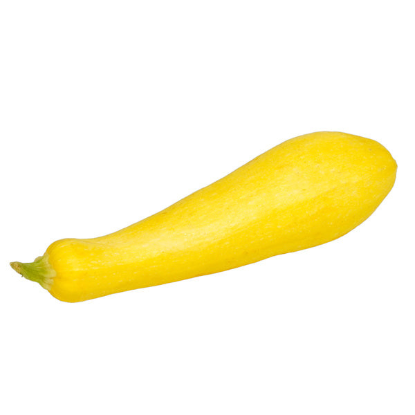 18-24#-PACK OF SQUASH YELLOW S/N MEDIUM FRESH