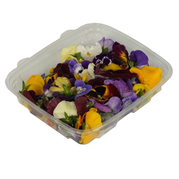50 CT-PACK OF FLOWER EDIBLE PANSY