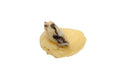 12-PACK OF Butter White Truffle Butter - 75g Jar