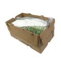 10 LB-PACK OF LETTUCE GREEN LEAF CROWNS