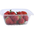 600-PACK OF CONTAINER TOGO World Centric 32 oz Rectangular Compostable PLA Deli Containers | 600 count