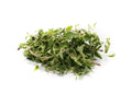 1 LB-PACK OF OREGANO FRESH HERB