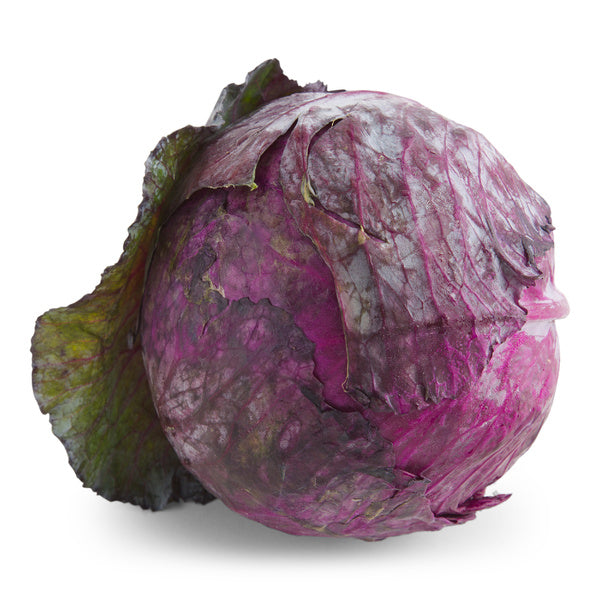 3 CT-PACK OF CABBAGE RED FDSVC