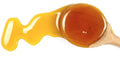 1-PACK OF HONEY YELLOW STAR THISTLE