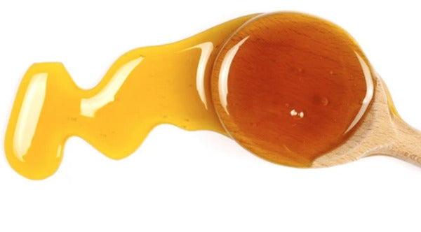 1-PACK OF HONEY YELLOW STAR THISTLE