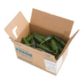 5 LB-PACK OF PEPPER JALAPENO FRESH