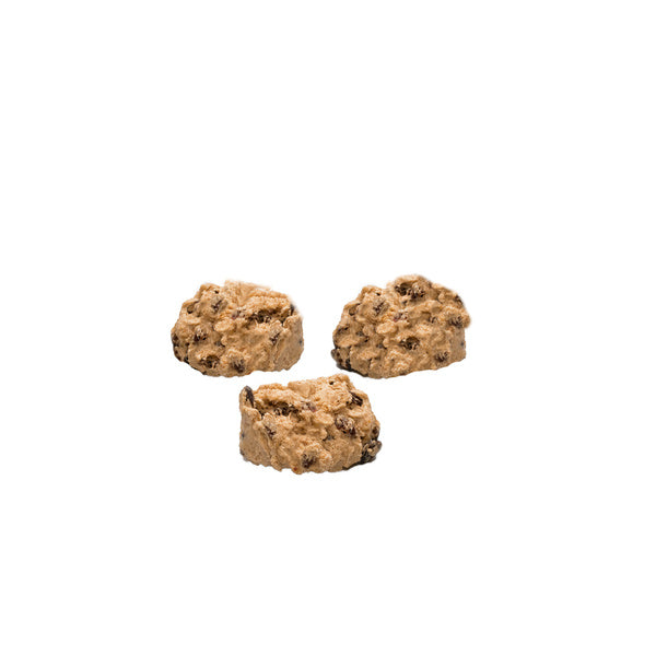 213- PACK OF DOUGH COOKIE OATMEAL RAISIN