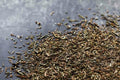 1-PACK OF SPICE PEPPERCORN BLK CUT BUTCH