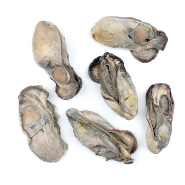 8 OZ-PACK OF OYSTER CANNED