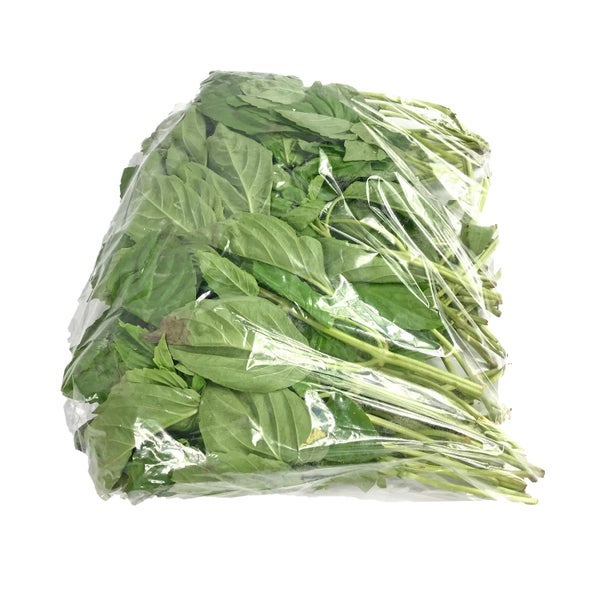1 LB-PACK OF BASIL FRESH HERB